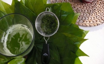 Hết đau răng nhờ bài thuốc đơn giản
